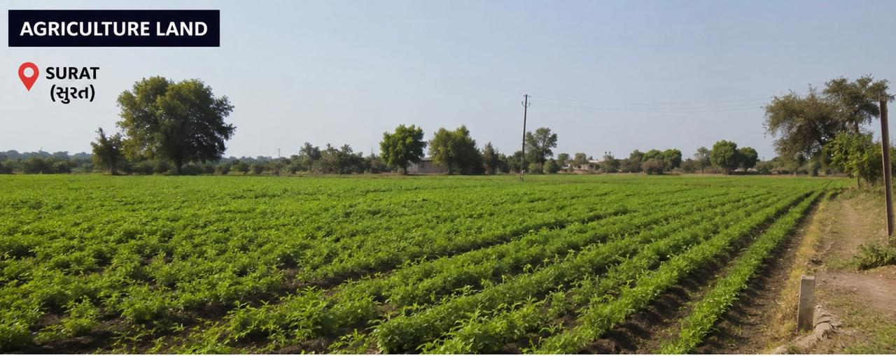 agriculture land